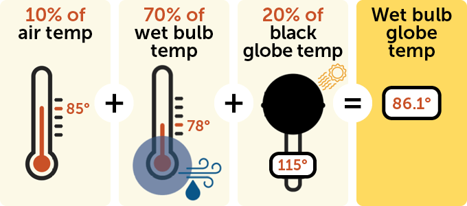 A diagram showing how to calculate the wet bulb temperature.